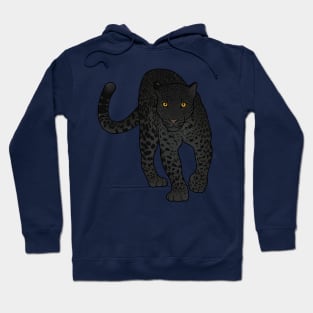 Black Jaguar Panther Stalking Hoodie